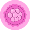 Embryo Culture
