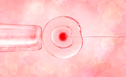 Intracytoplasmic Sperm Injection (ICSI)