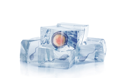 Fertility Preservation