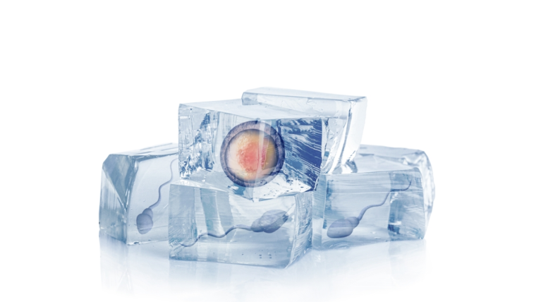 Fertility Preservation