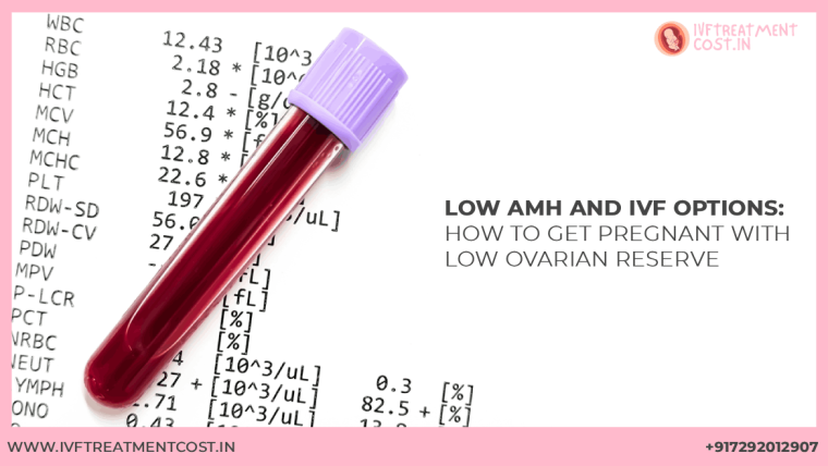 Low AMH and IVF Options: How to Get Pregnant with Low Ovarian Reserve